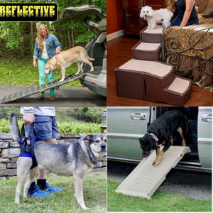 Pet Ramps, Steps, Lifts, Wheelchairs & MORE