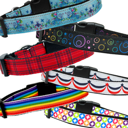 Nifty Nylon Collars