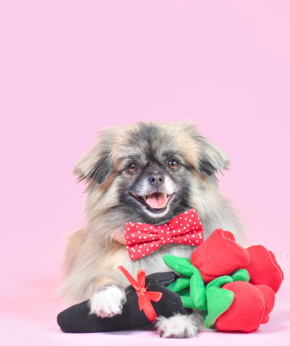 Valentine’s Day For Fur Babies