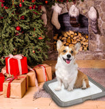 Pee Pad Holder - Pawise