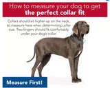 No! Slip Martingale Adjustable Dog Collar with Buckle