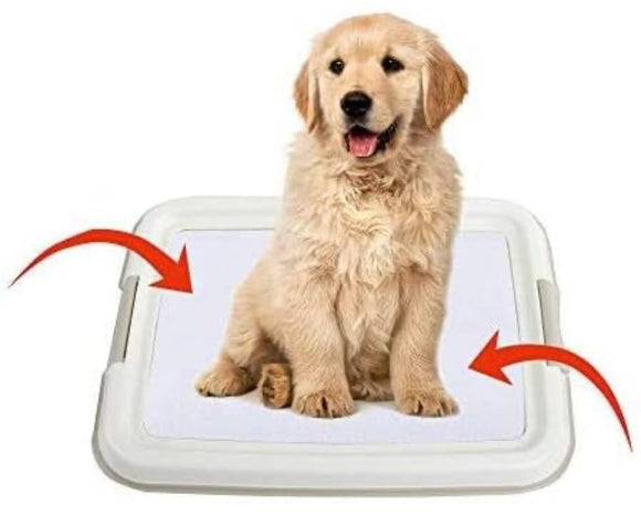 Pee Pad Holder - Pawise