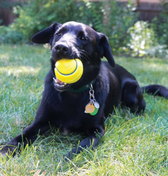 KONG Squeezz Tennis Ball