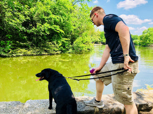 U.S. Army Military With Pup At Park On Break Both Standing On Rock Wall Enjoying The View Of The Water And Fall Trees