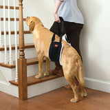 Dog Support and Rehabilitation Sling