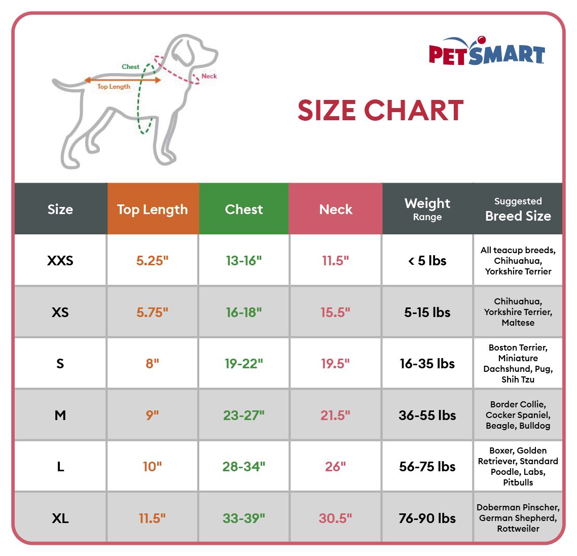How to put on top paw dog harness discount