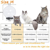 Cat Muzzle Cat Transparent Muzzle