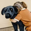 Giant Black Labrador by Melissa and Doug