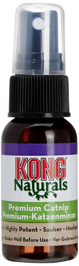 Kong Catnip Spray Concentrate - [pups_path]