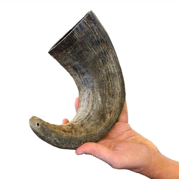 Massive 3XL | Buffalo Bully Horns - Free Range - All Natural Dog Chews