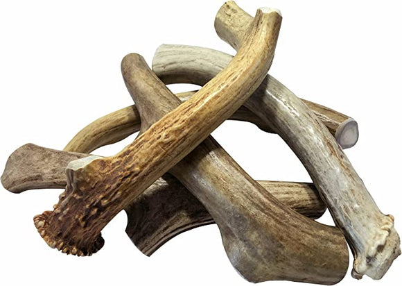 Deer Antler