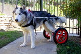 Dog Wheelchair By Best Friend Mobility - [pups_path]