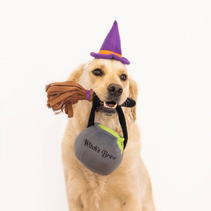 ZippyPaws Halloween Costume Kit Witch