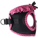 American River Choke Free Harness
