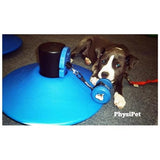 PhysiPet