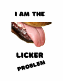 Licker Problem Set