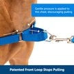 PetSafe Easy Walk Harness