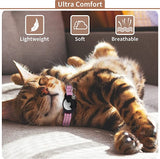 AirTag Pet Collar