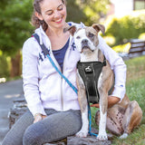 Kurgo Tru-Fit Smart Harness