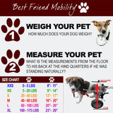 Rear Support Dog Wheelchair By Best Friend Mobility