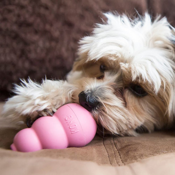 Kong Medium Puppy Teething Toy - Colors May Vary