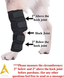 AGON® Canine Dog Hock Brace Rear Leg