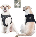 Auroth Tactical Harness