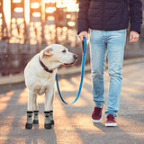 Pet supplies Non-Slip Socks