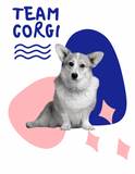 Team Corgi (Pet Shirt)