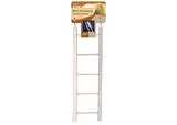 Penn Pax Parakeet Starter Kit