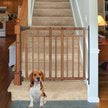 Summer Banister & Stair Dog Gate