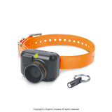 STB BEEPER COLLAR by Dogtra
