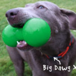 Ruff Dawg - Big Dawg Dog Toy