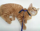 Paw-T Petz Cat Harness