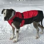 Alpine All-Weather Dog Coat