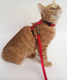 Paw-T Petz Cat Harness