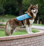 Zippy Paws Cooling Vest