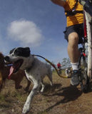 Dog Coupler For Biking & Walking (Bike Tow Leash)