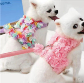 Spring Flower Harness with Matching Leash