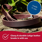 Circle T Latino Leather Lead by Coastal Pet