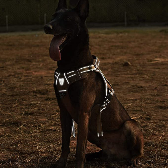 Auroth Tactical Harness
