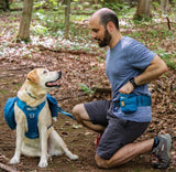 RSG YORM Dog Treat Bag