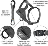 Kurgo Tru-Fit Smart Harness