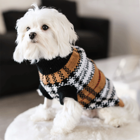 Burberry dog sweater 2025