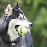 KONG SQUEAKAIR®  Tennis Ball