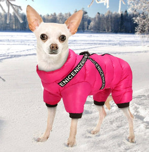 Winter Dog Snowsuit by Turner and Hooch