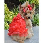 Red Satin Holiday Dog Harness Dress with Leash