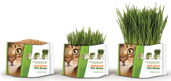 PET GREENS Medley Cereal Grass Blend 88g