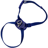 CAT HARNESS - COASTAL Size Right