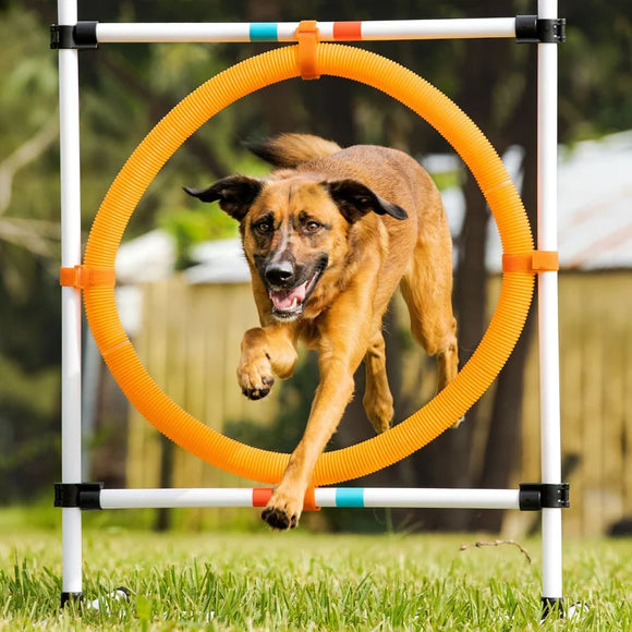 Middlee Dog Agility Beginner Set (Hoop Poles Bar Jump)